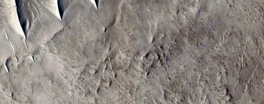 Raised Ridges in Nilosyrtis Mensae