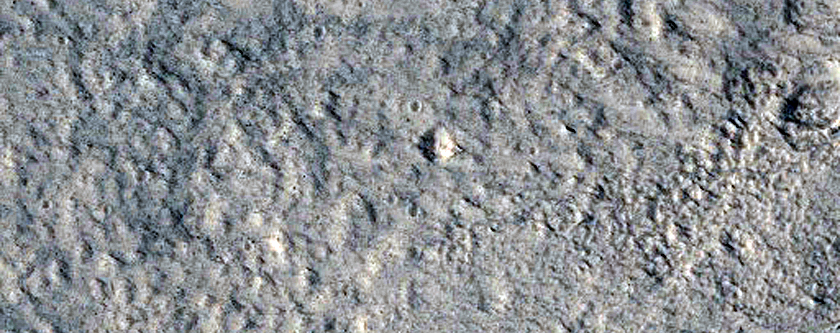 Fresh Impact Crater in Tempe Terra