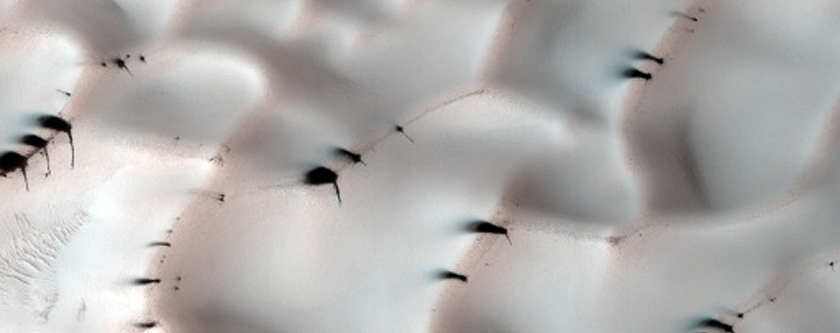 Ice in a Crater