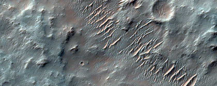 Possible Lacustrine Deposit in Basin Feature