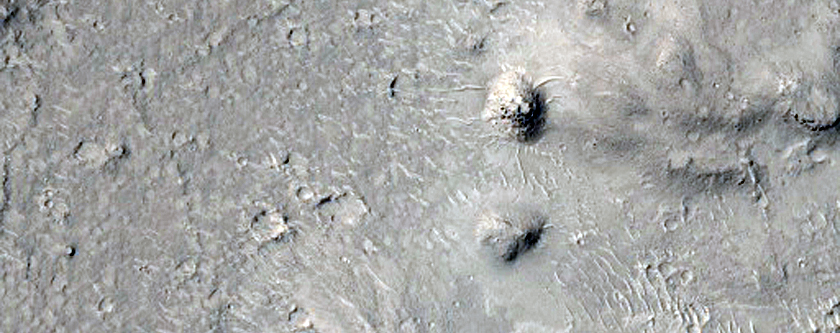 Cratered Cones within a Flow along Cerberus Fossae