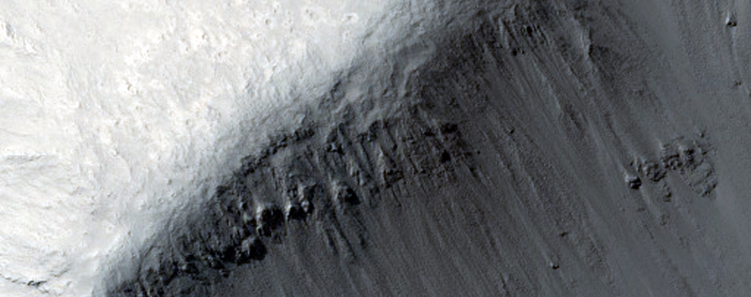 Possible Future Mars Landing Site of 2018 Joint Rover in Cerberus Palus