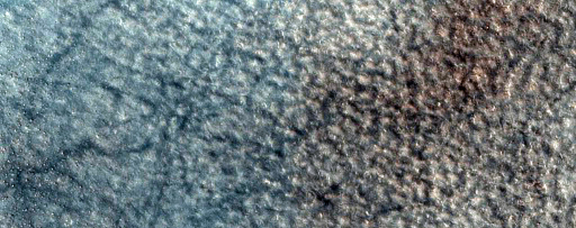 Northern Plains Sample