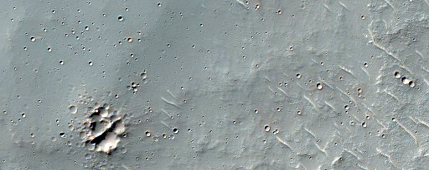 Relatively Fresh Secondary Craters
