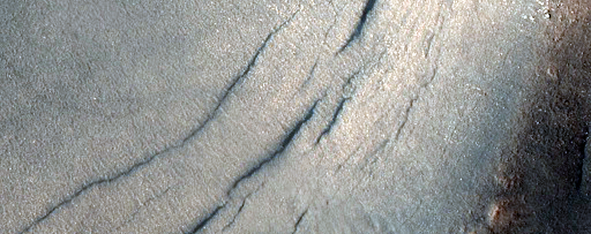 Acidalia Planitia Sample