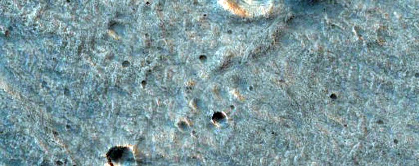 Possible Site for Future Exploration in the Northeastern Chryse Region