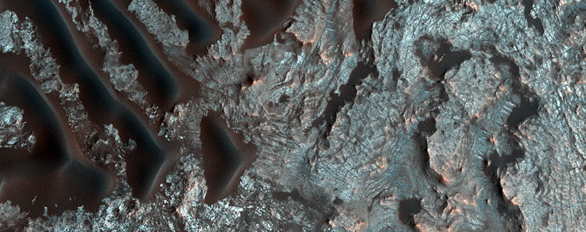Light-Toned Material and Dark Dunes and Gullies