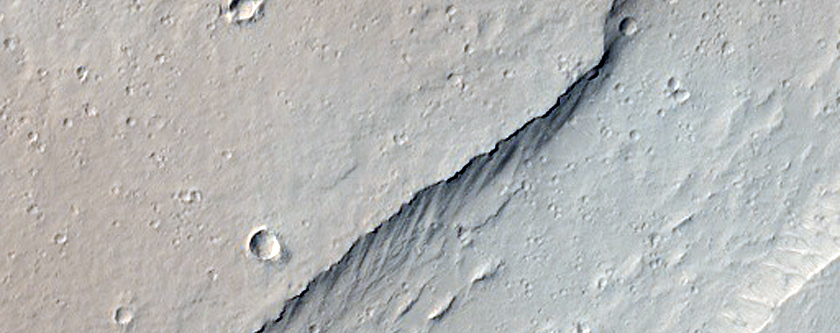 Anastomosing Channels