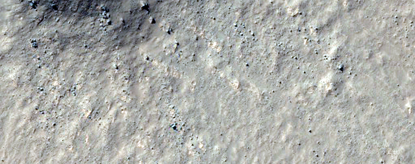 Fresh Impact Site