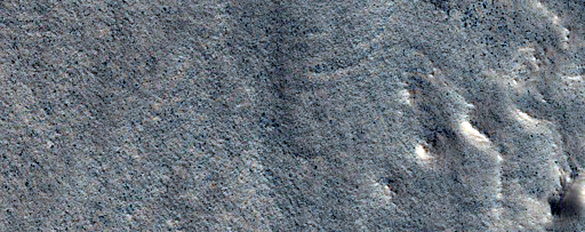 Rocky Fan in Lyot Basin