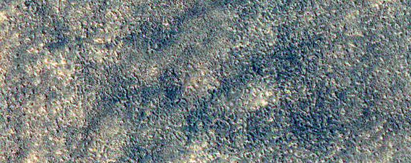 Acidalia Planitia Sample