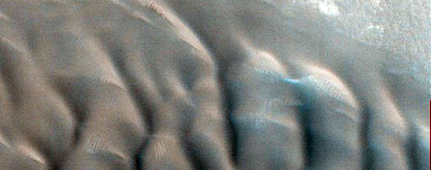 Dune Changes in North Polar Crater