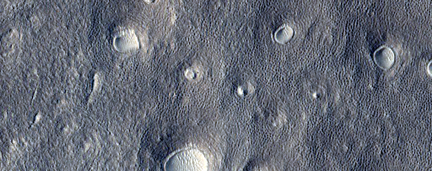 Pitted Northern Plains