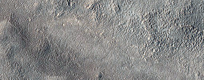 Surface Texture Contacts