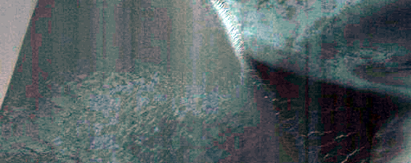 Dune Gully Monitoring