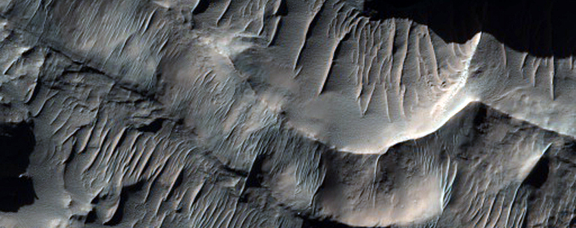 Pitted Crater Floor