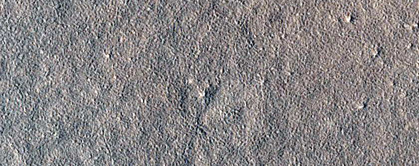 Shallow Depressions in Amazonis Planitia