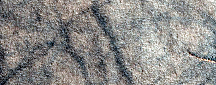 Northern Plains