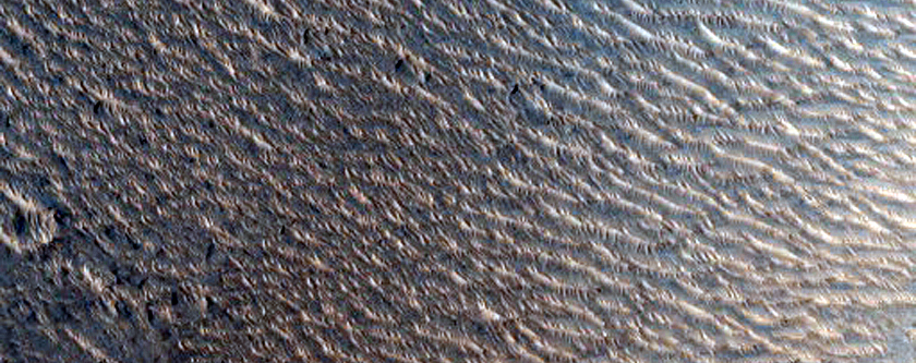 Landscape in a Wind Streak