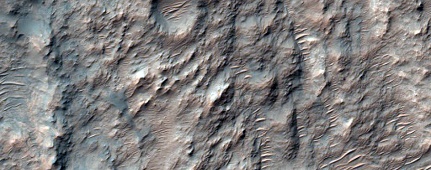 Layered Flow Ejecta