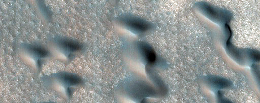 Possible Hydrate-Rich Terrain