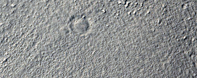 Possible Phyllosilicates in Ismenius Cavus