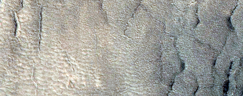 Gullies in Northern  Mid-Latitude Crater
