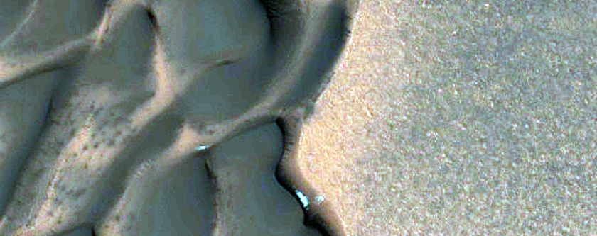 North Polar Crater Dune Changes