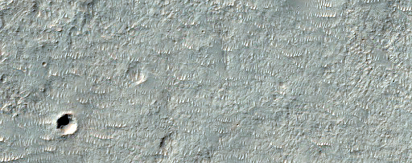 Margaritifer Terra