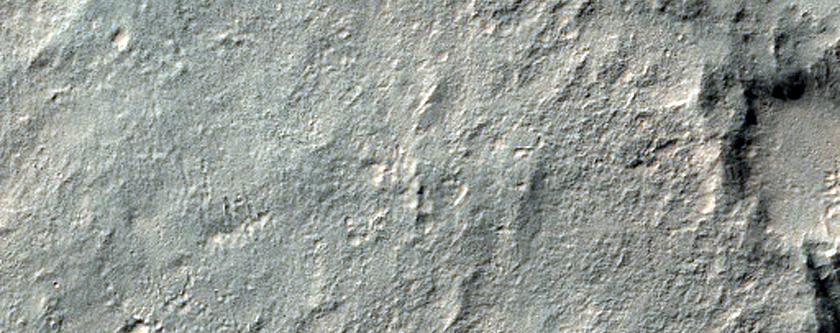 Fresh Impact Site