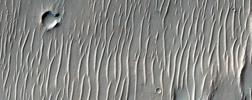 Possible Phyllosilicates Associated with Channels