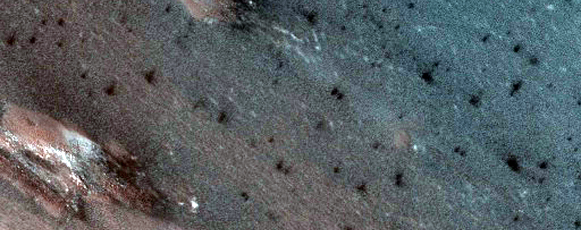 Sustained Bright Patches in North Polar Region