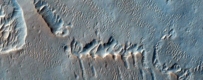 Ridges in Terra Meridiani