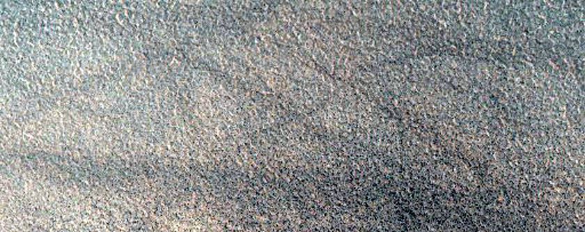 Dark Filamentary Streak Seasonal Monitor Site on Northern Plains
