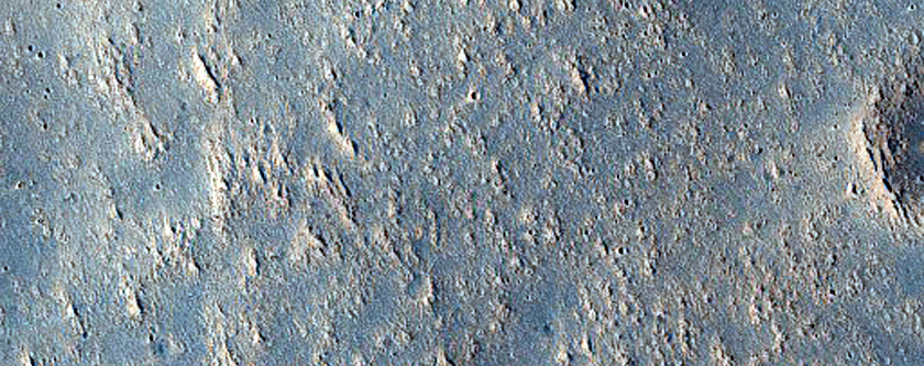Flow Boundary in Elysium Planitia