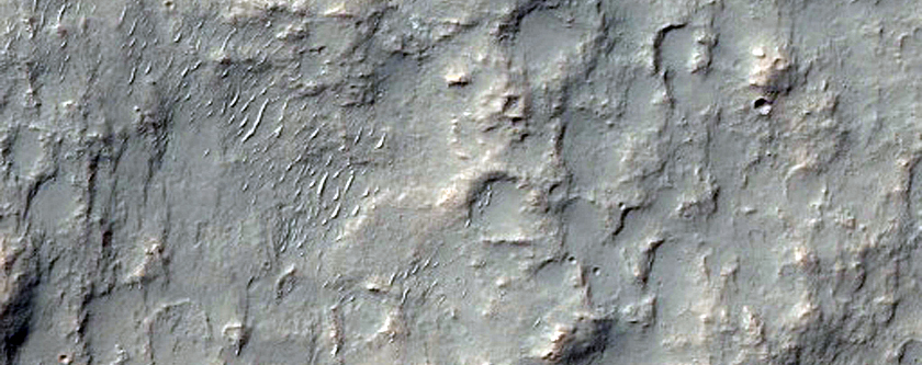 Possible Phyllosilicates on Rim of Magelhaens Crater