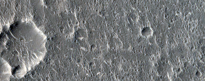 Terrain in Isidis Planitia