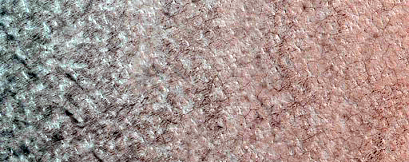 Sustained Bright Patches at Margin of North Polar Layered Deposits