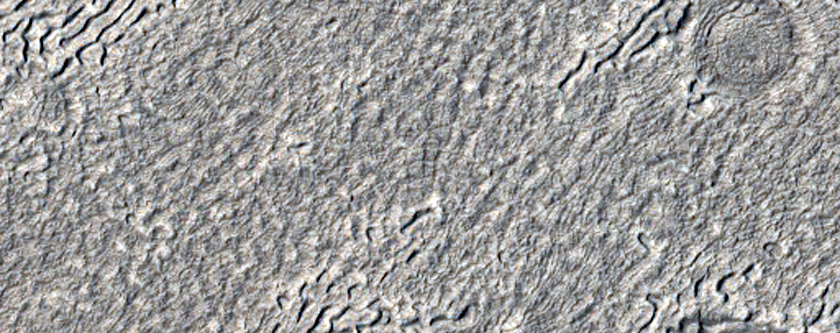 Impact Ejecta Superposed on Mid-Latitude Apron Material