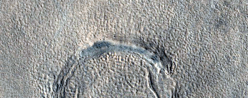 Utopia Planitia Terrain
