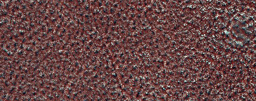 Northern Plains Patterned Ground