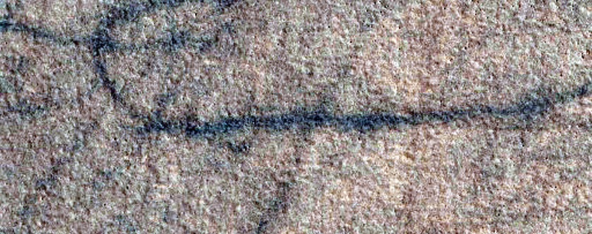 Utopia Planitia Terrain