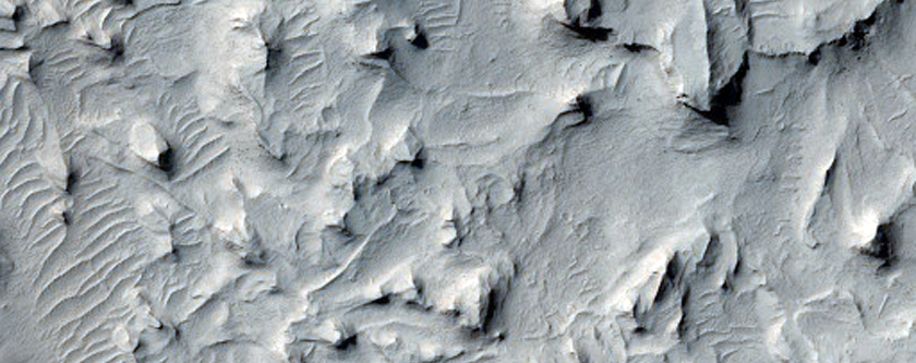 Sinuous Ridges with Different Morphologies in Aeolis Planum