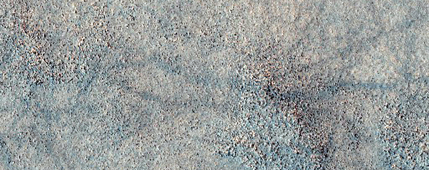 Utopia Planitia Terrain