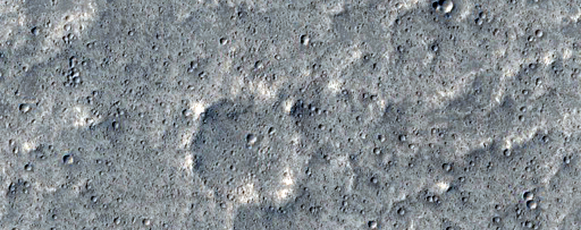 Flows and Craters in Elysium Planitia
