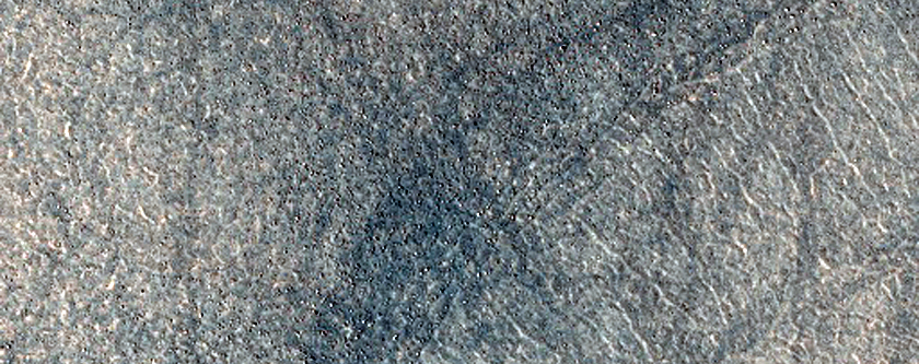 Northern Plains Sample
