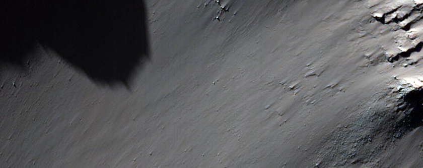 Gully Monitoring