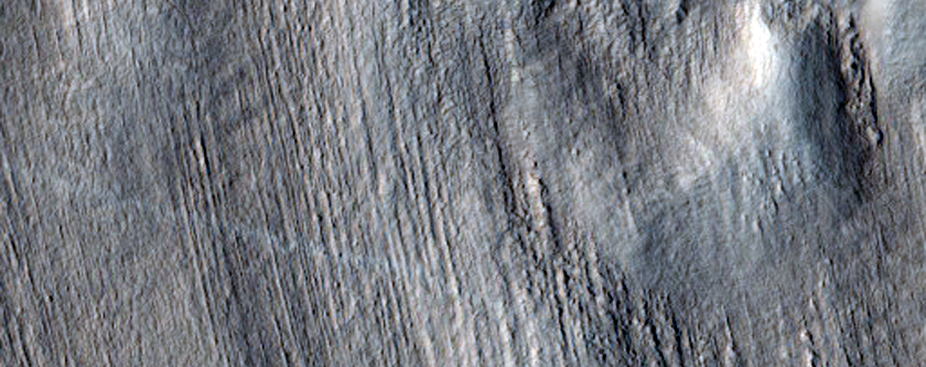 Gullied Crater in Utopia Planitia
