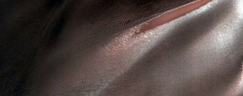 Dune Gullies in Matara Crater