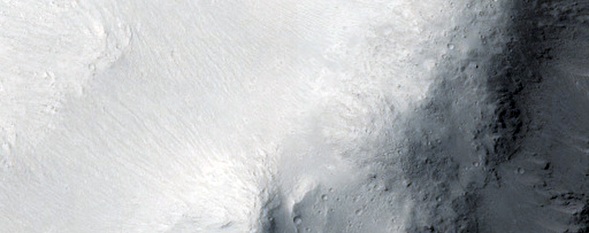 Proposed Site for Future Exploration in Cerberus Palus